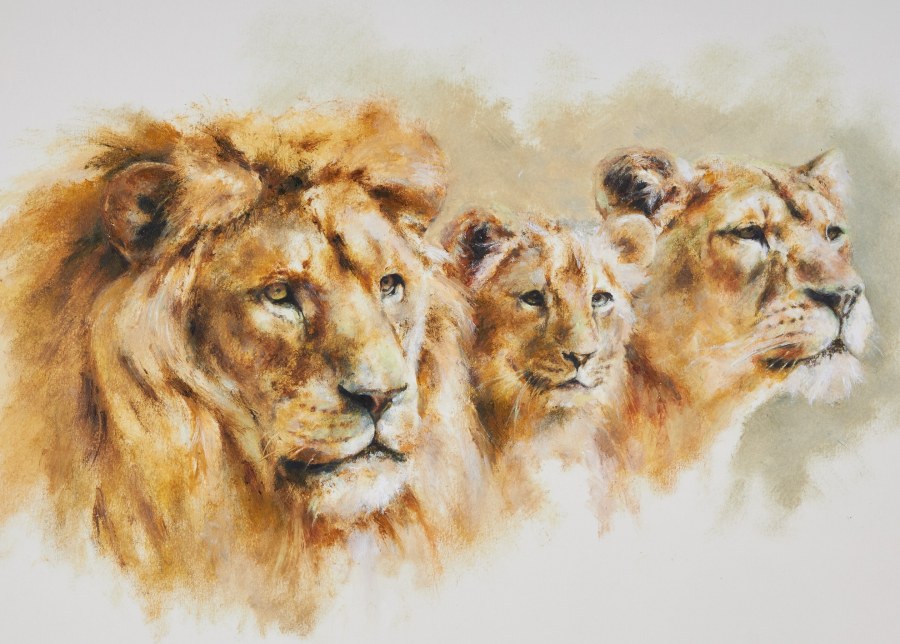Mandy Shepherd, Three Lions