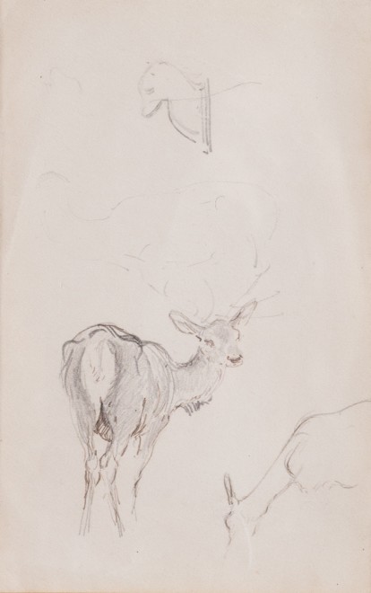 William Woodhouse, Double-sided deer study