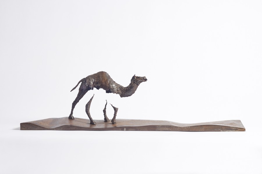 Pascal Chesneau, Camel