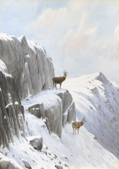 Vincent Balfour-Browne, Chamois in a winter landscape