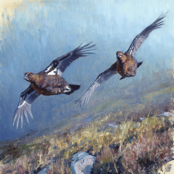 Justin Prigmore, Incoming (flying grouse)