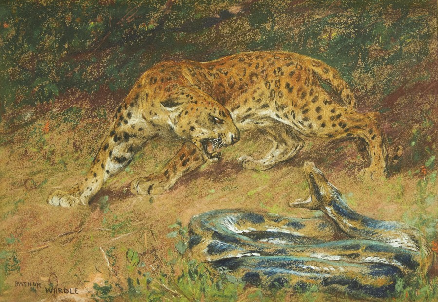 Arthur Wardle, R.I., R.B.C. , Leopard and snake