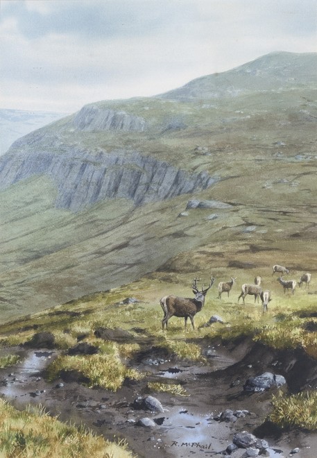Rodger McPhail, Deer on a highland hillside