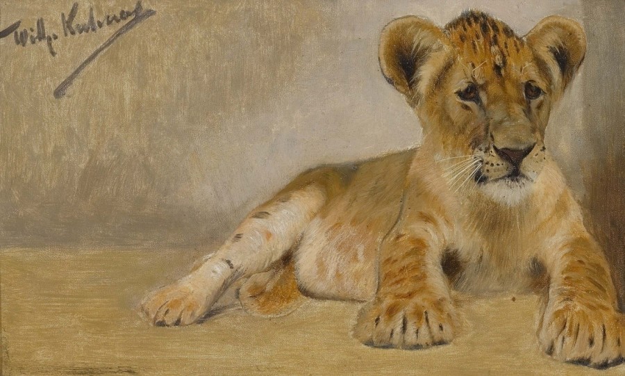 Wilhelm Kuhnert, Lion cub