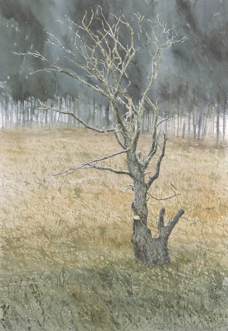 Gordon Rushmer, Under Cheriton Wood