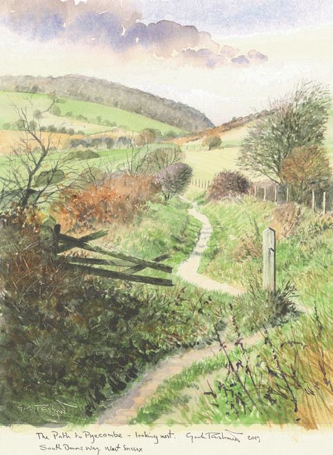 Gordon Rushmer, The Path to Pyecombe looking West