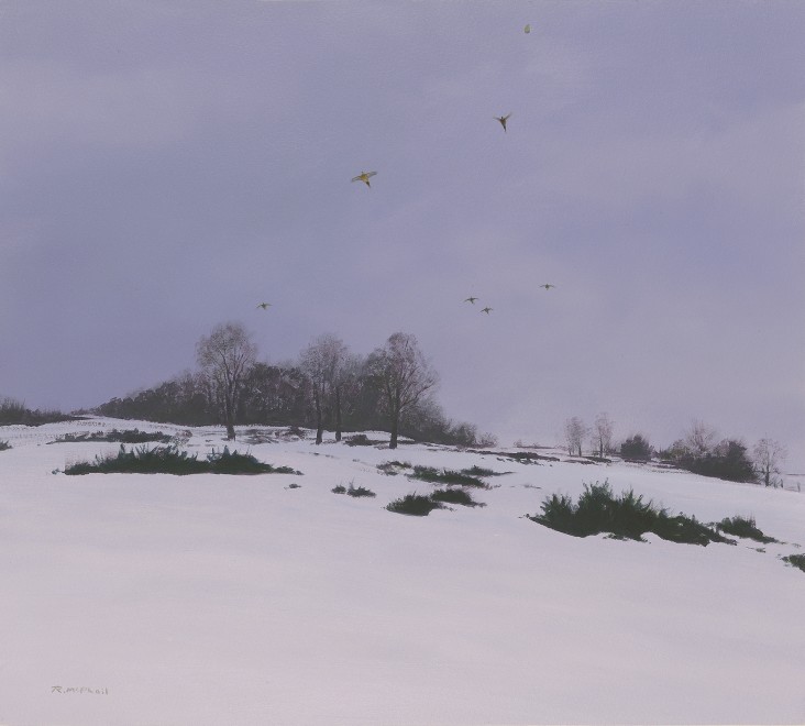 Rodger McPhail, Winter Pheasants