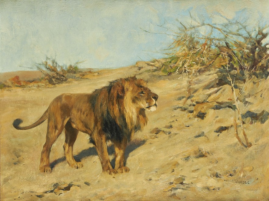 Arthur Wardle, R.I., R.B.C. , Lion