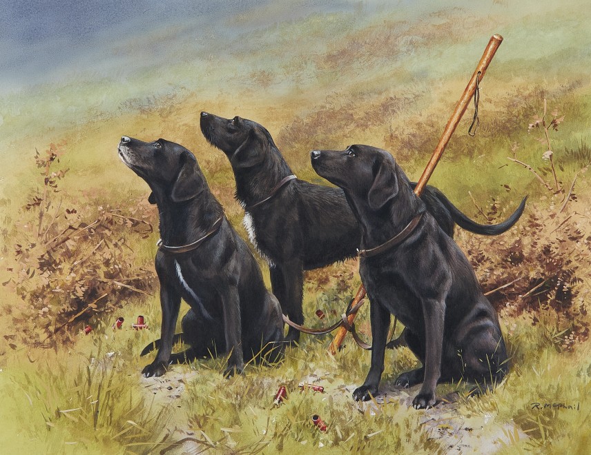 Rodger McPhail, Three Gun Dogs