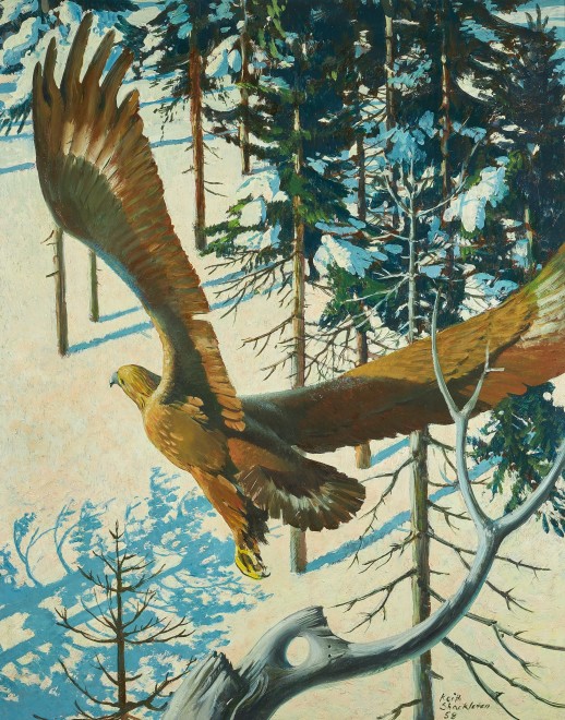Keith Hope Shackleton, MBE, Golden Eagle, 1958