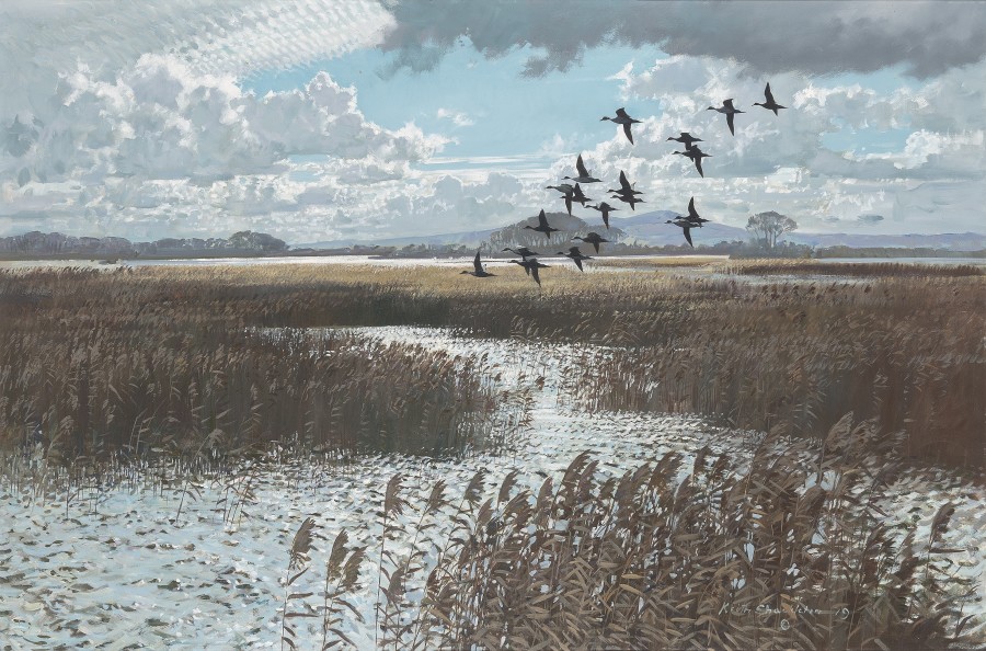 Keith Hope Shackleton, MBE, Pintails over the marsh