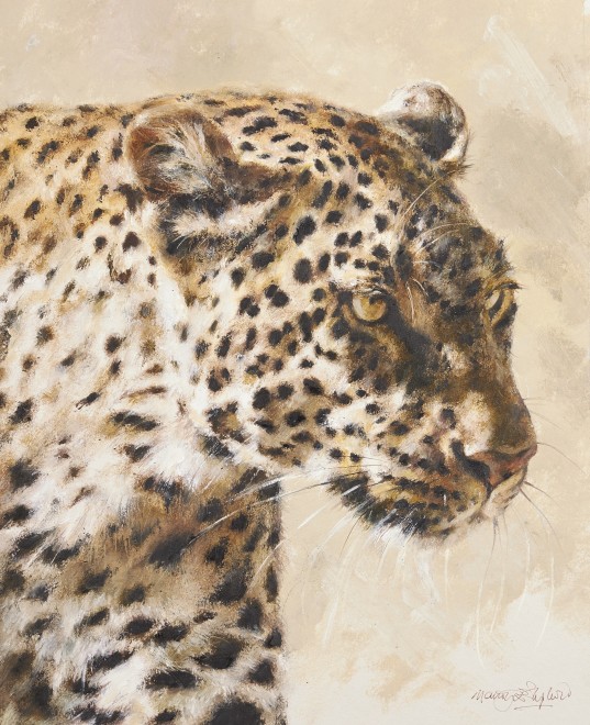 Mandy Shepherd, Leopard head