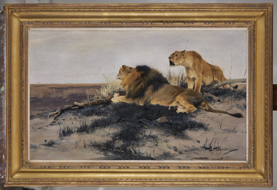 Wilhelm Kuhnert, Lions
