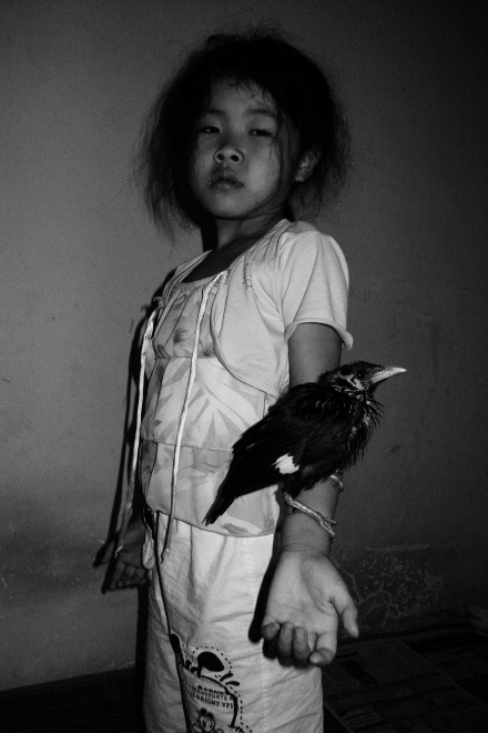 冯立《黑鸟、女孩》  Feng Li Blackbird, Girl  2007