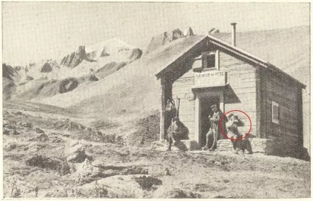 朱岚清 Zhu Lanqing, 达沃斯滑雪俱乐部指南 1936 / 1937 Ski Club Davos / Club - Guide 1936 / 1937