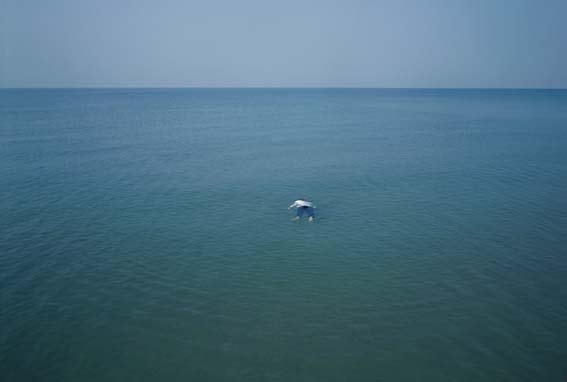 单飞鸣《海》  Shan Feiming The Sea  2008