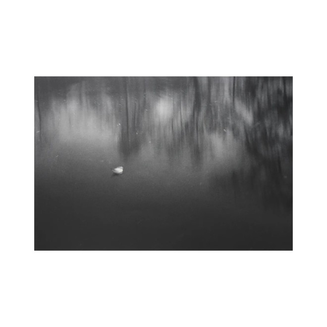 选自《无题》系列  Untitled series