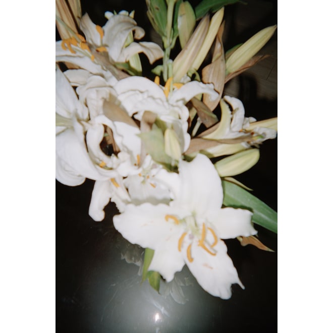 Ruotong Guan Solo Exhibition —— Nectarine Blossom & Honey
