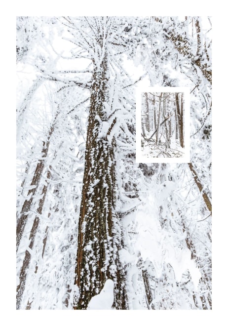 Nature Code Code