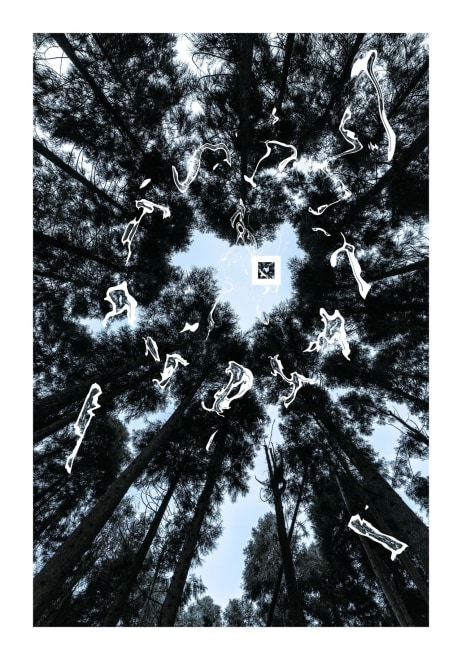 Nature Code Code