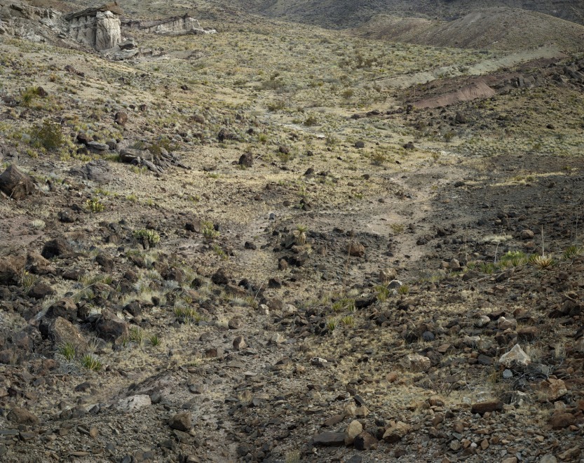 The Enduring Present : A Retrospective of Stephen Shore