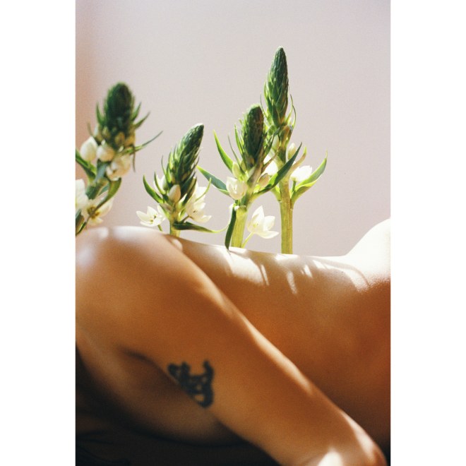编号223，《肤上雀梅》，2023，艺术微喷。  No.223, Skin In Bud, 2023, Photography with archival pigment print.