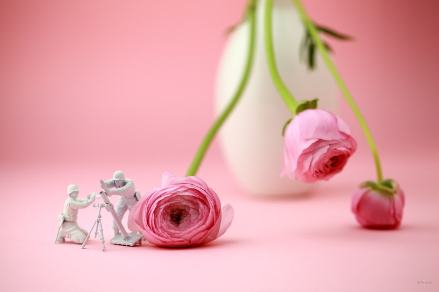 Imagination：A Double-Edged Sword