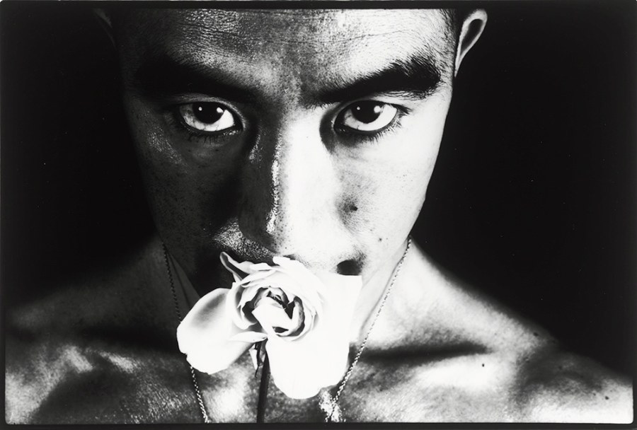 蔷薇刑 #32 ｜ Ordeal by Roses #32