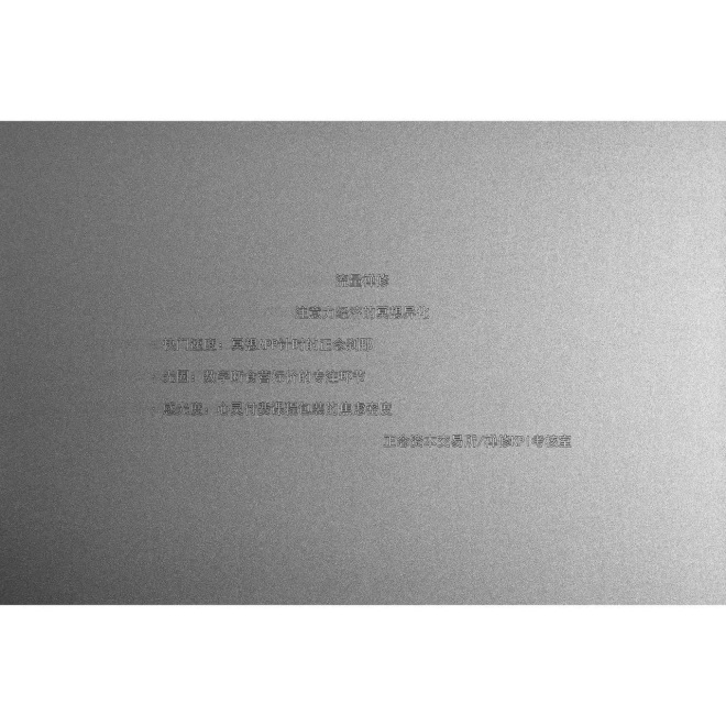 苏仲尧，《流量禅修》，2025，铝板喷砂  Su Zhongyao, Digital Mindfulness, 2025, Sandblasted aluminum plate