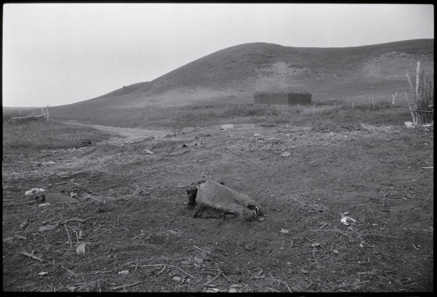 《马头，河北》 Horse Head, Hebei 1997