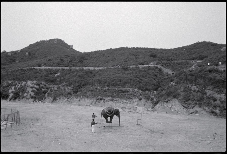 《象的杂技，北京》 Elephant Acrobat, Beijing 1998