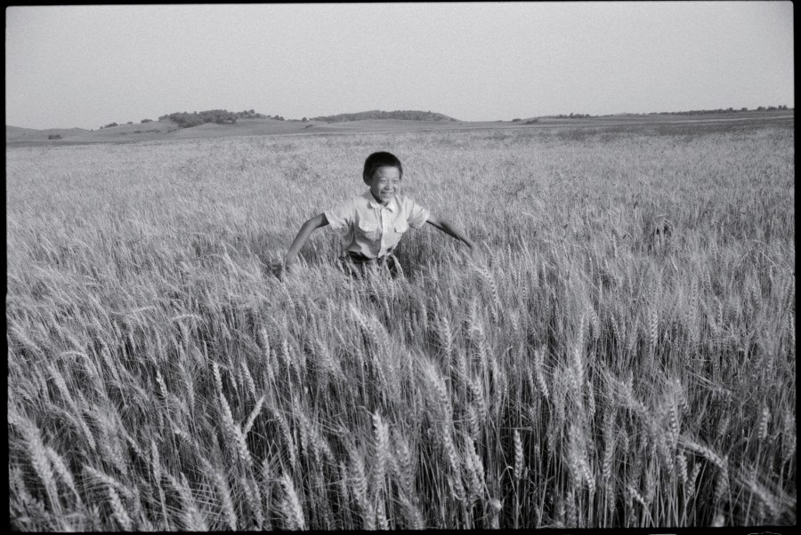 《麦田里的少年，河北》 Boy in the Wheat Fried, Hebei 1997