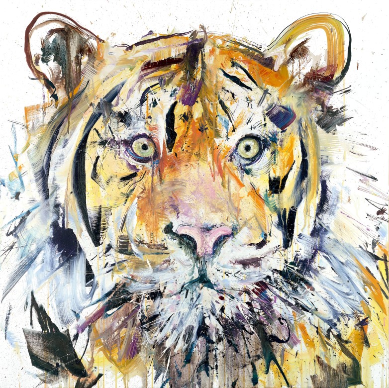 'Tiger', Oil on linen, 40" x 40" 102cm x 102cm, by Dave White 2015
