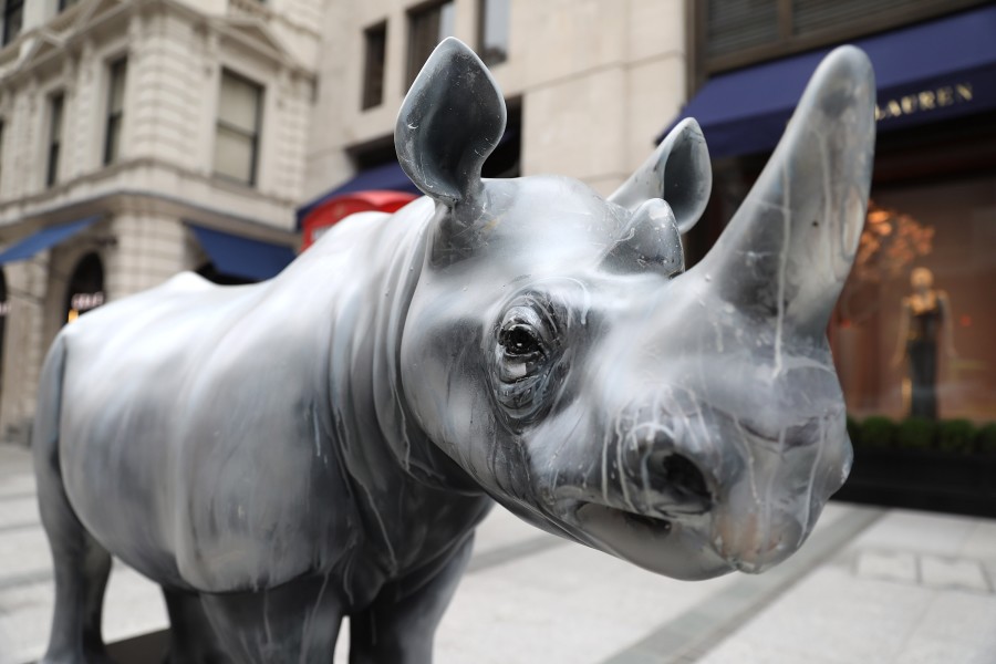 Fragile by Dave White, supported by Forevermark for the Tusk Rhino Trail© Tim Whitby for Getty