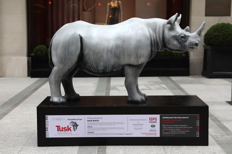 Fragile by Dave White, supported by Forevermark for the Tusk Rhino Trail © Tim Whitby for Getty