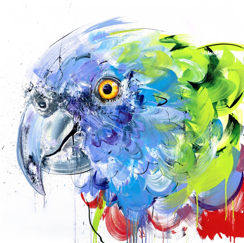 St Lucia Amazon Parrot by Dave White