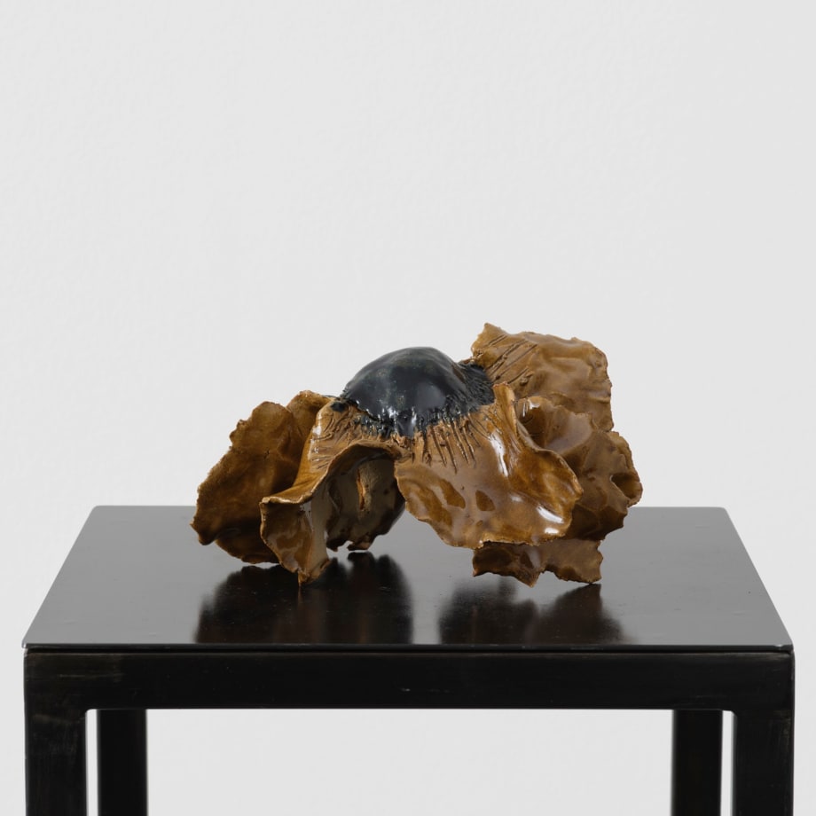 Diane Chappalley, Anxious Flowers I, 2023
