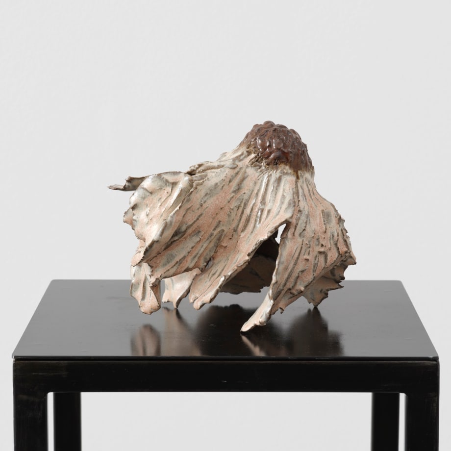 Diane Chappalley, Anxious Flowers II, 2023