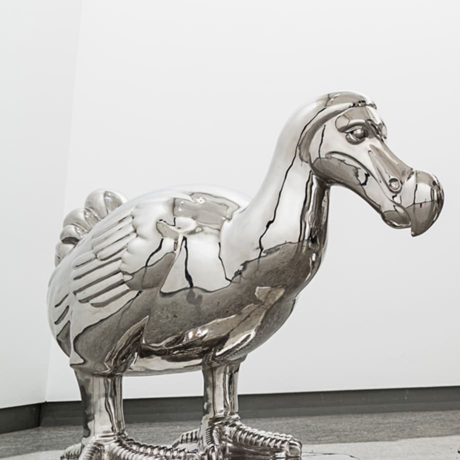 Liu Ruowang, The Dodo, 2013-2015