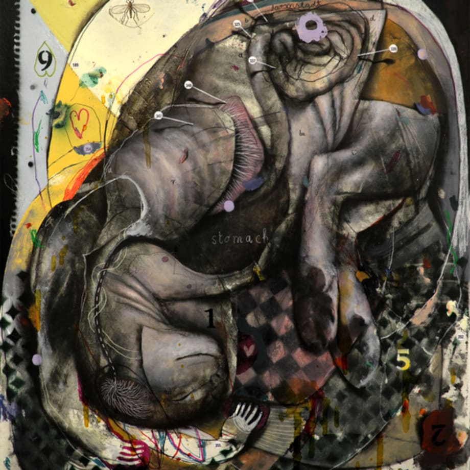 Dominik Schmitt, Jack the Cat, 2019