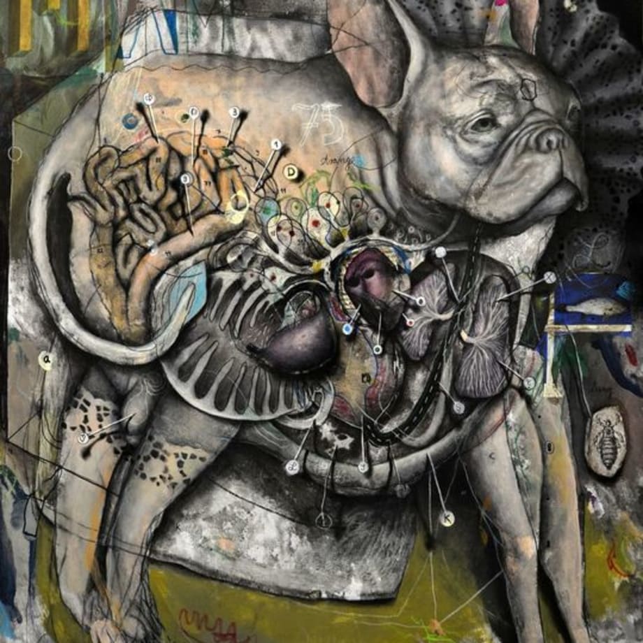 Dominik Schmitt, Dog, 2018