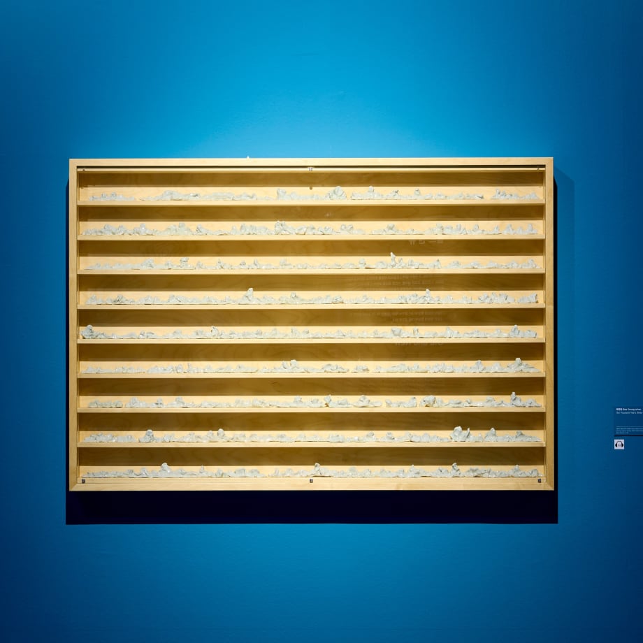 Bae Young-whan. Autonumina —Ten Thousand Years' Sleep, 2010.