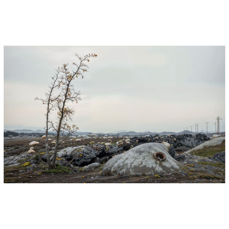 Ben Millar Cole, After ‘A Sudden Gust of Wind (after Hokusai)’, 2024
