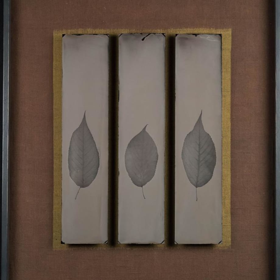 Steffen Diemer, Blätter (Leaves) #1083, 2024