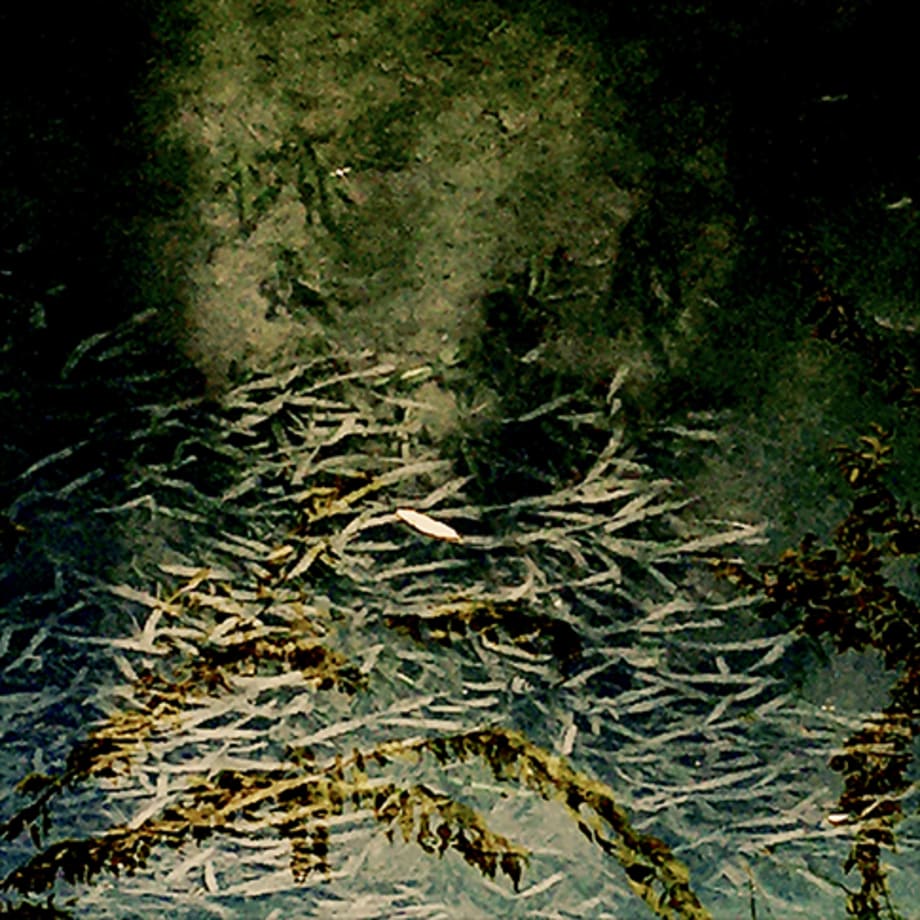 Pietro Bologna, Da Ettaro (From Hectare), 2020-2021