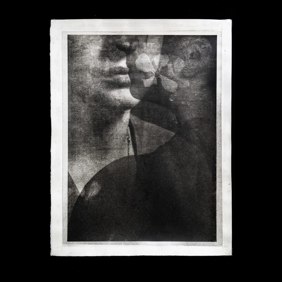 Alessandra Calò, χθόνιος (chthonic), 2024