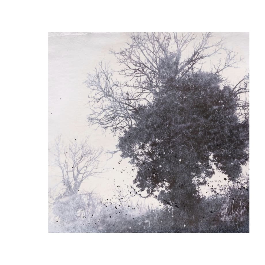 Felicity Keefe