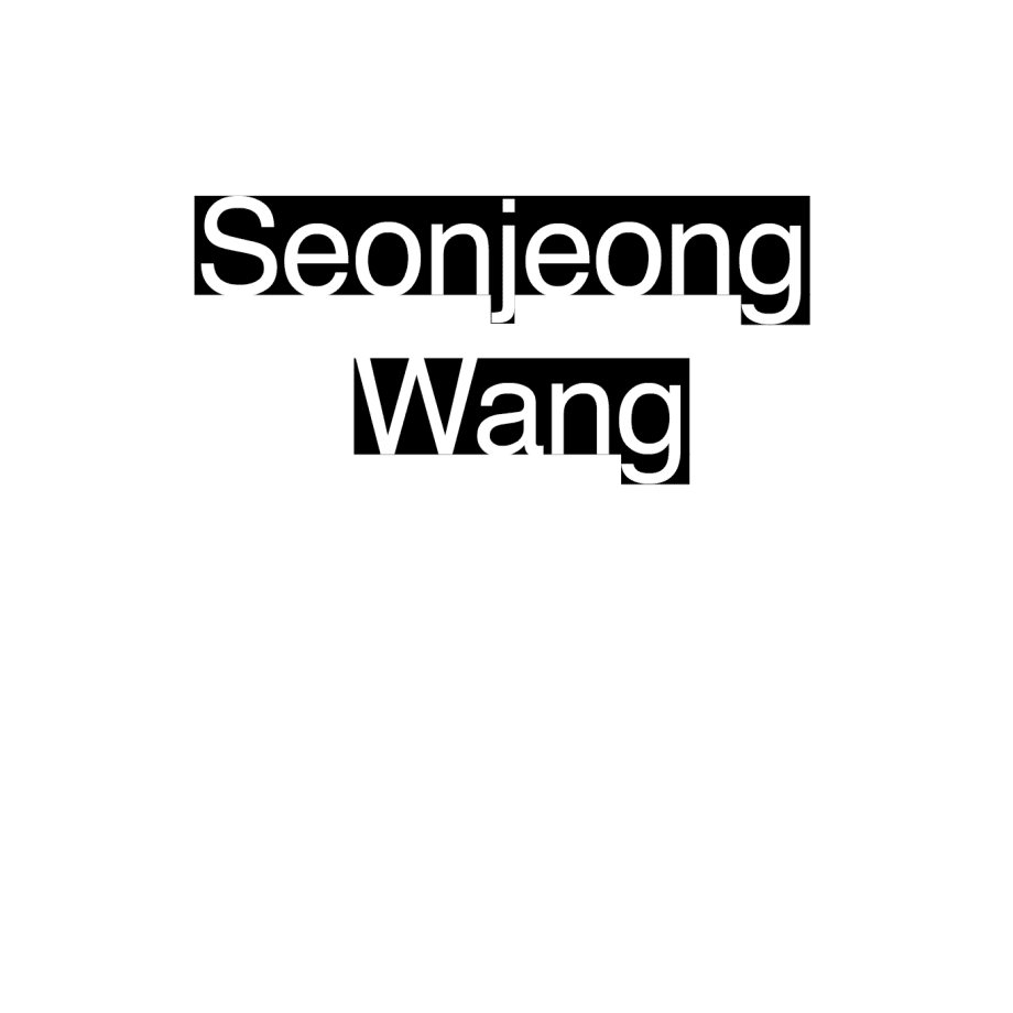 Seonjeong Wang