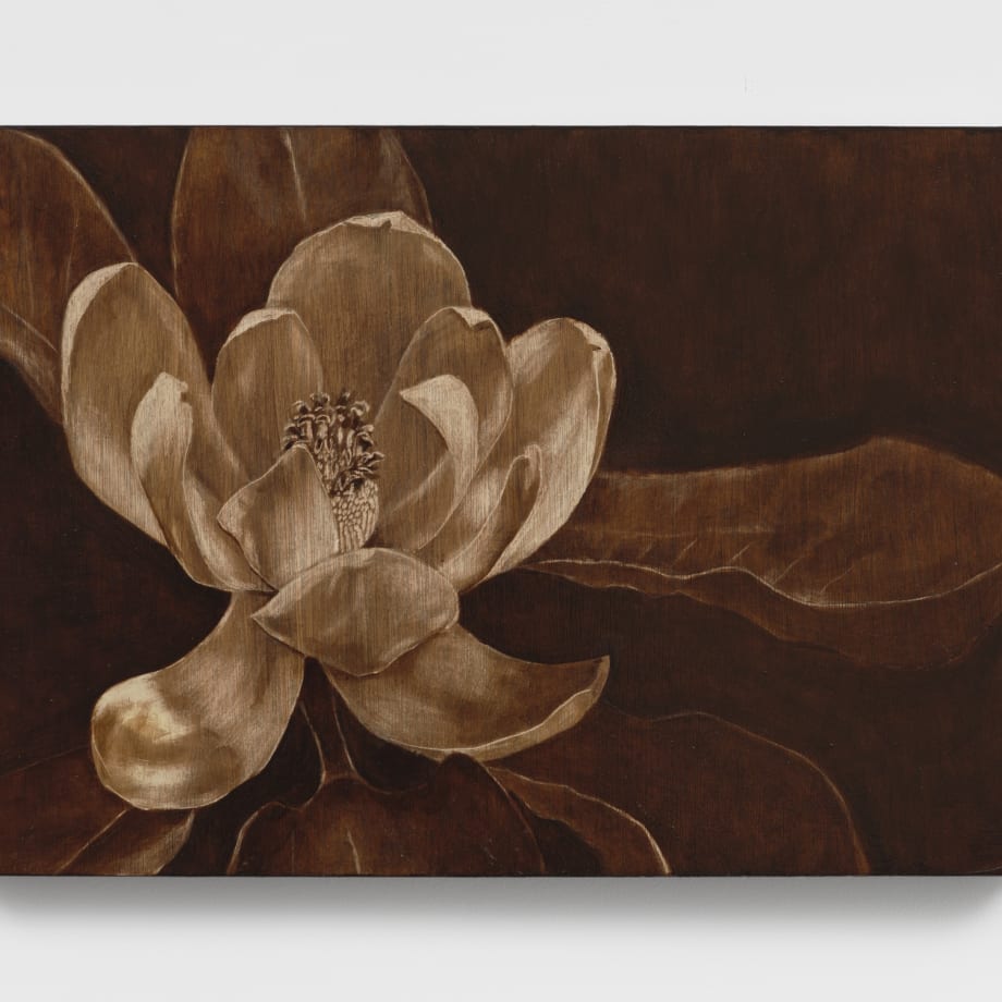 Orfeo Tagiuri, Untitled (Magnolia Grandiflora), 2024 Etched and stained birch wood 40 x 60 cm