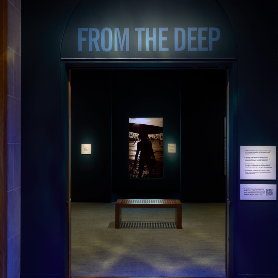 From the Deep: In the Wake of Drexciya. Photograph taken by Brad Simps. Courtesy of Smithsonian National Museum of African Art.